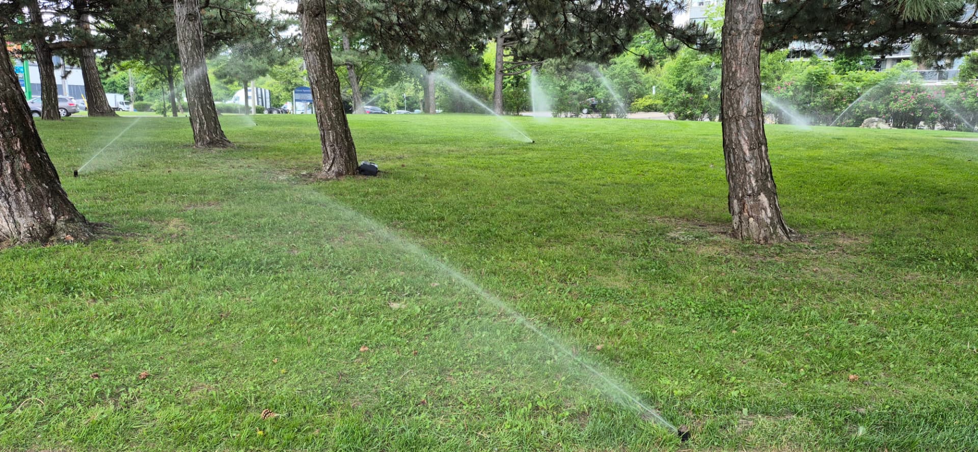 Commercial Landscaping lawn sprinkler project by HiGreenWall