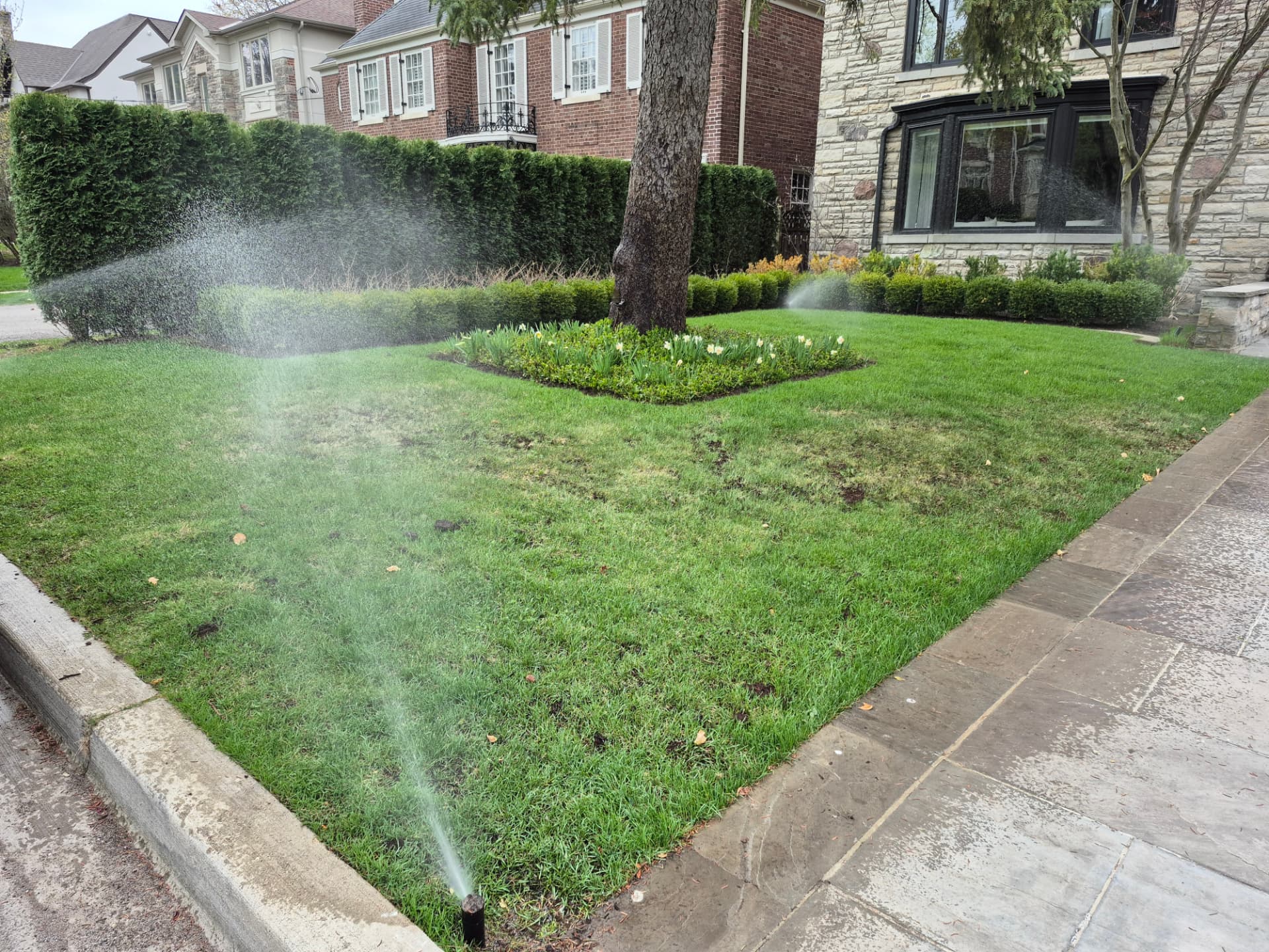 Front Yard lawn sprinkler project by HiGreenWall