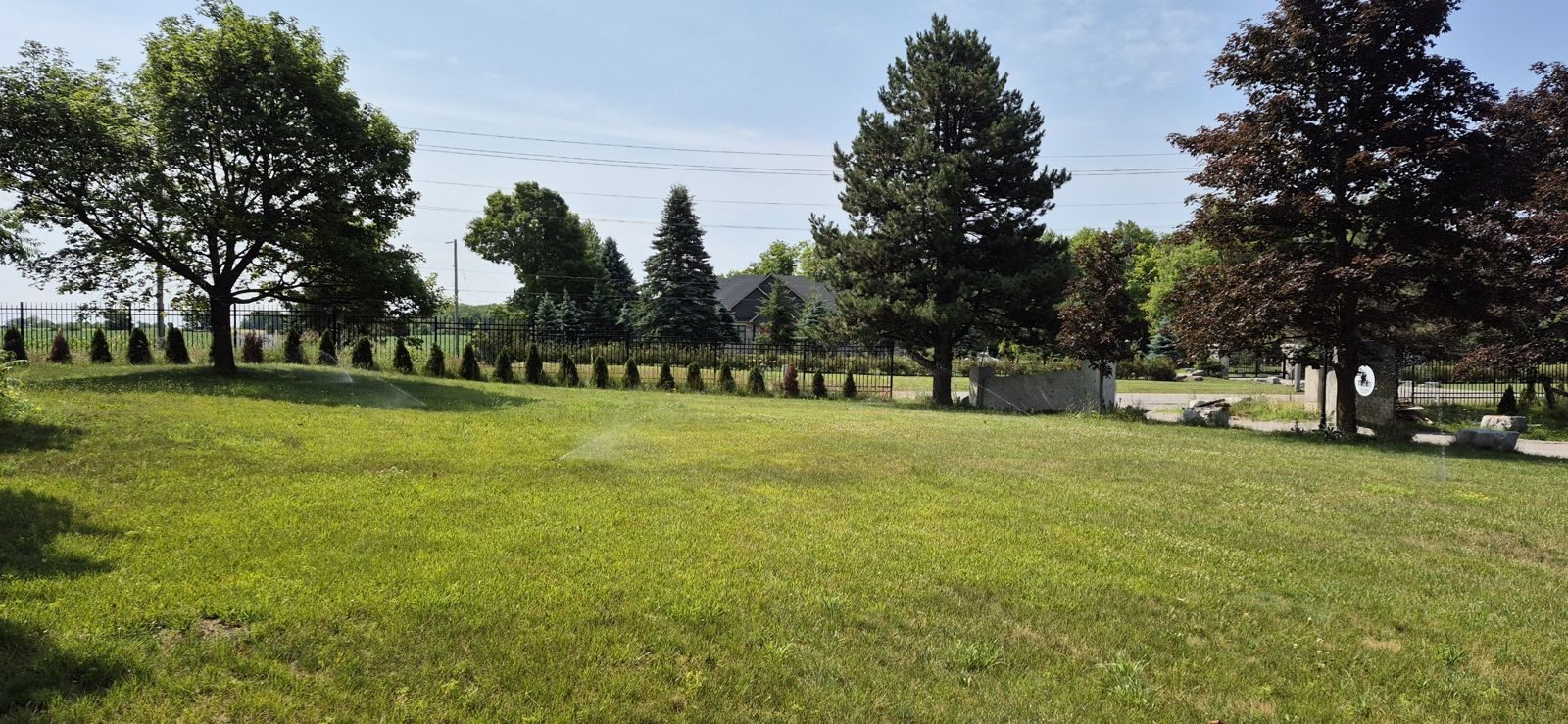 Several sprinkler heads covering a large open lawn with mature trees and a tree-lined fence
