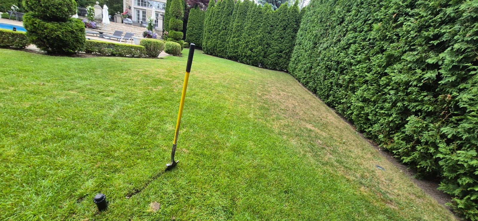 New sprinkler line being trenched into a lawn, with a shovel and a sprinkler head ready to connect